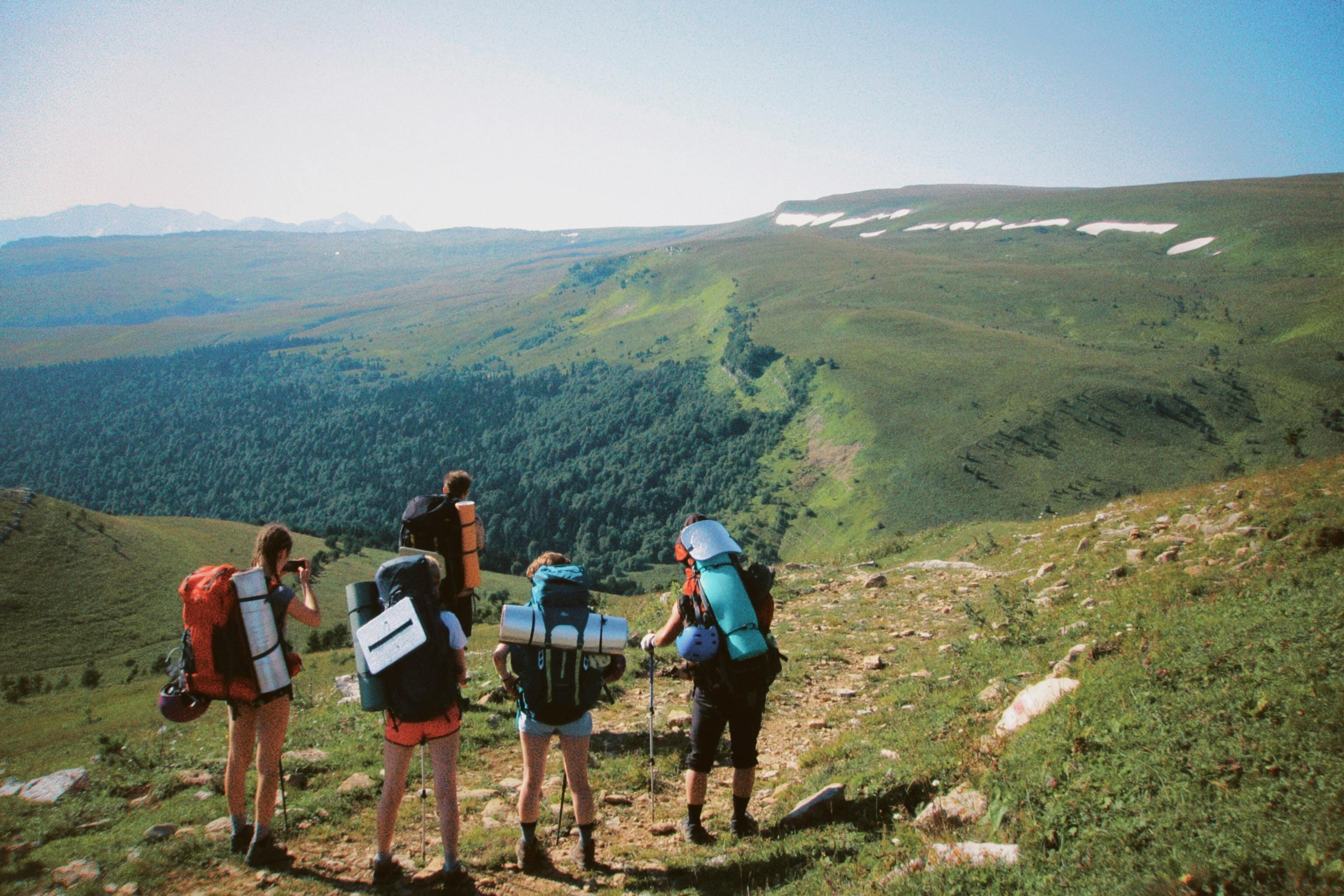 Field surveys and primary data collection