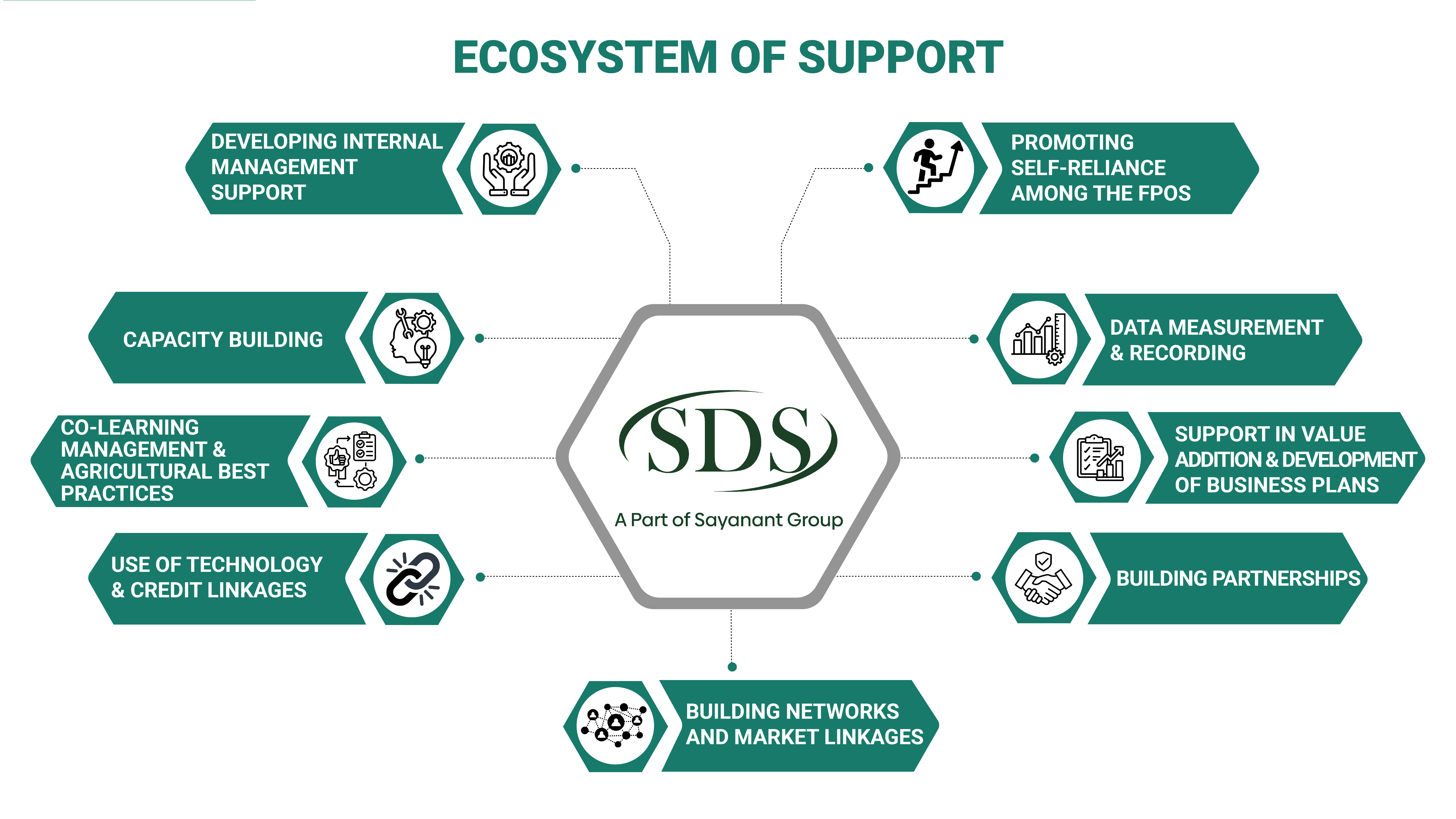 Ecosystem of Support diagram by SDS