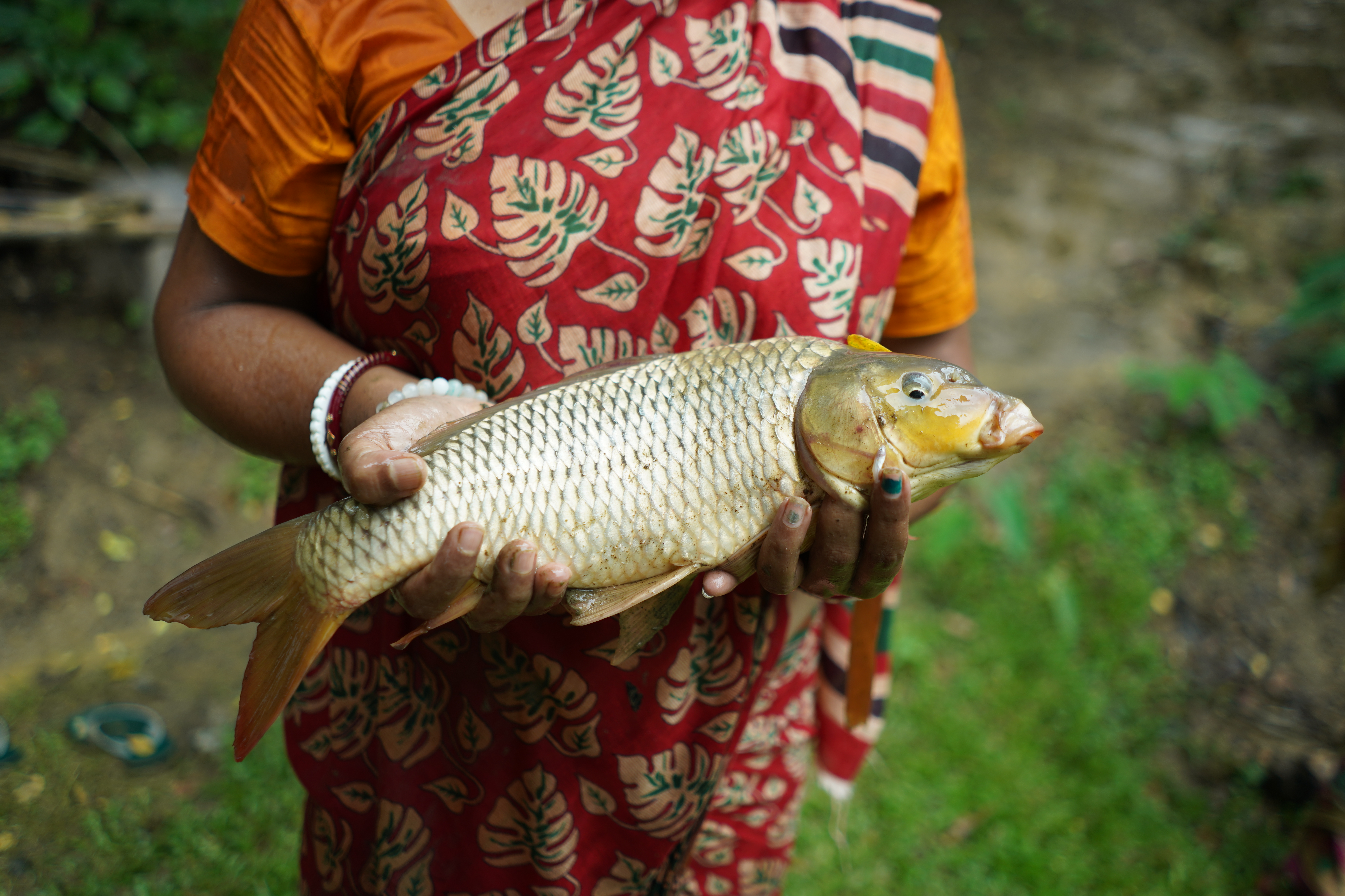 Farmer group meeting near ponds
